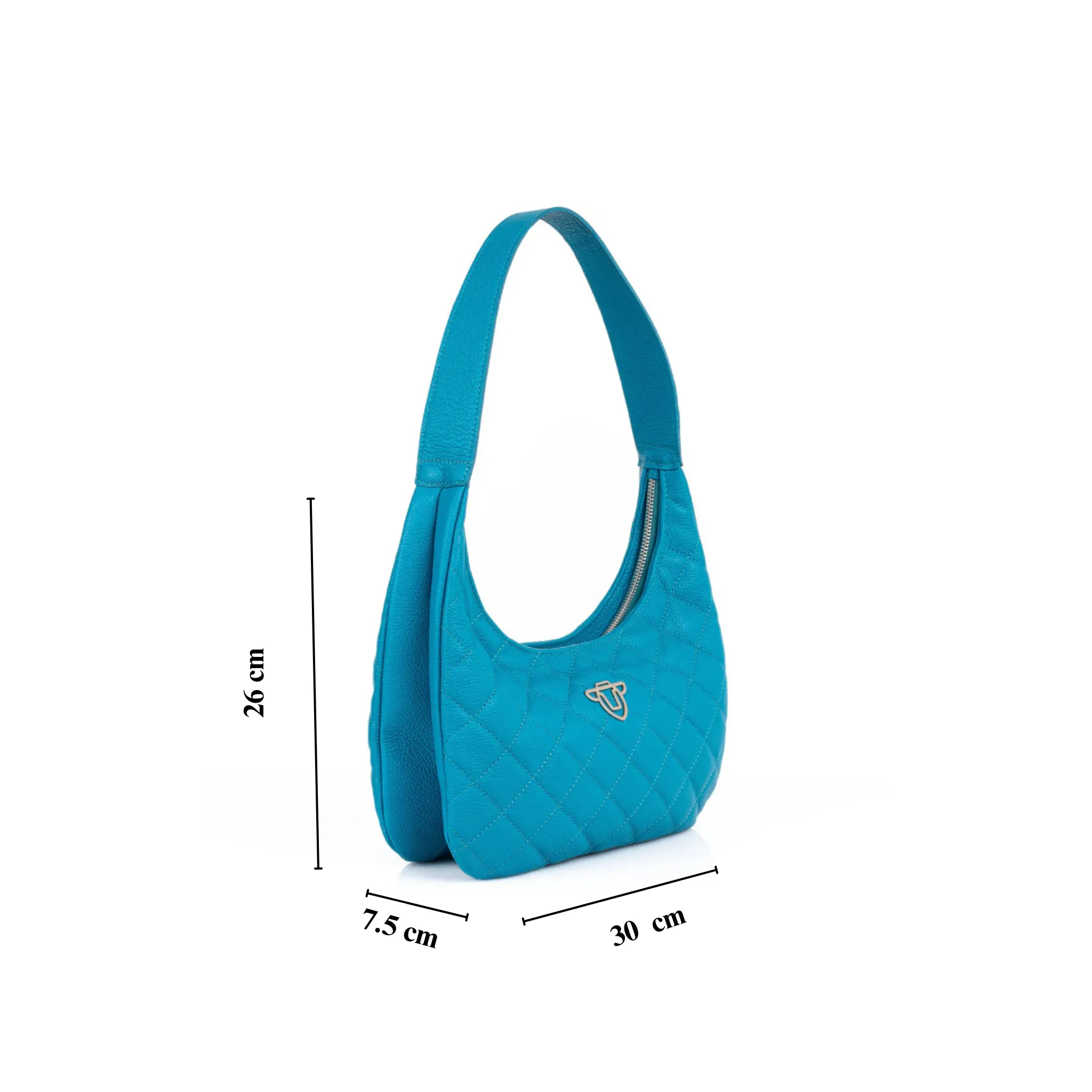 Aura, The Hobo Bag