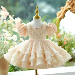 Dreamy Champagne Tulle Girl Dress Lace Toddler Kids 1st Birthday Gown J456