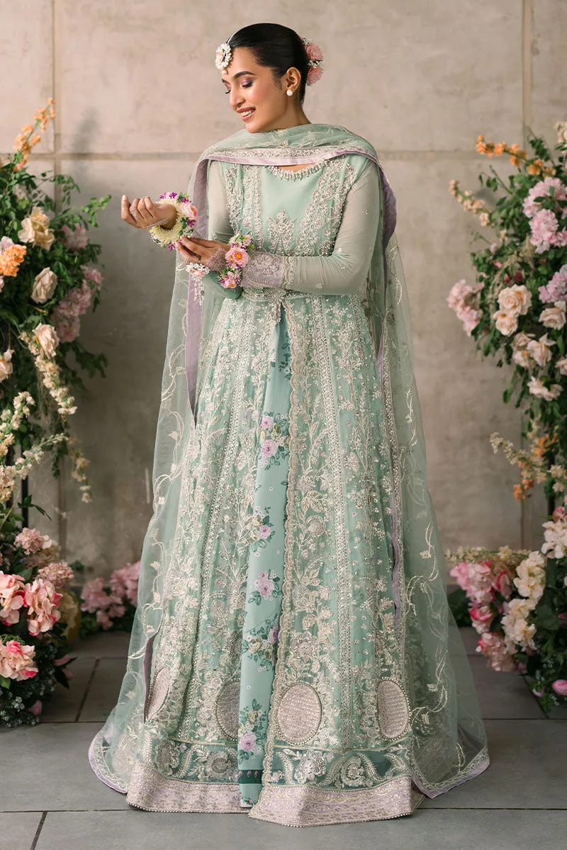 Faiza | Mastani Evening Luxury Chiffon Collection | MUSHQ