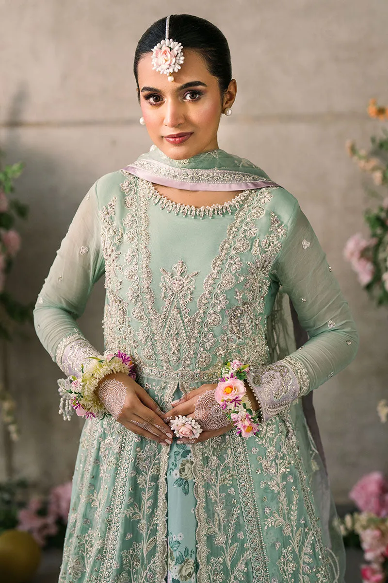 Faiza | Mastani Evening Luxury Chiffon Collection | MUSHQ