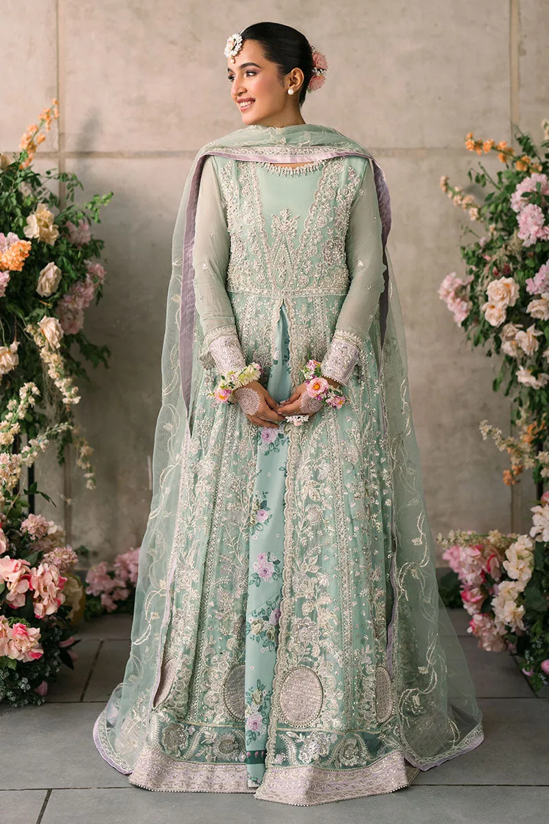 Faiza | Mastani Evening Luxury Chiffon Collection | MUSHQ
