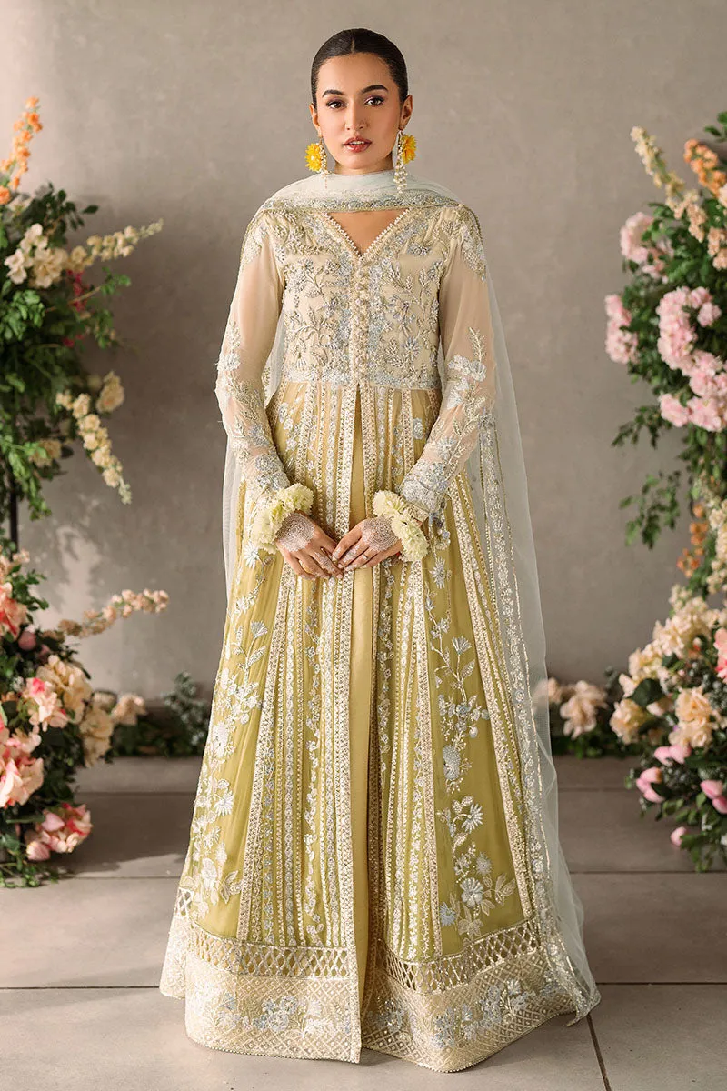Hira | Mastani Evening Luxury Chiffon Collection | MUSHQ