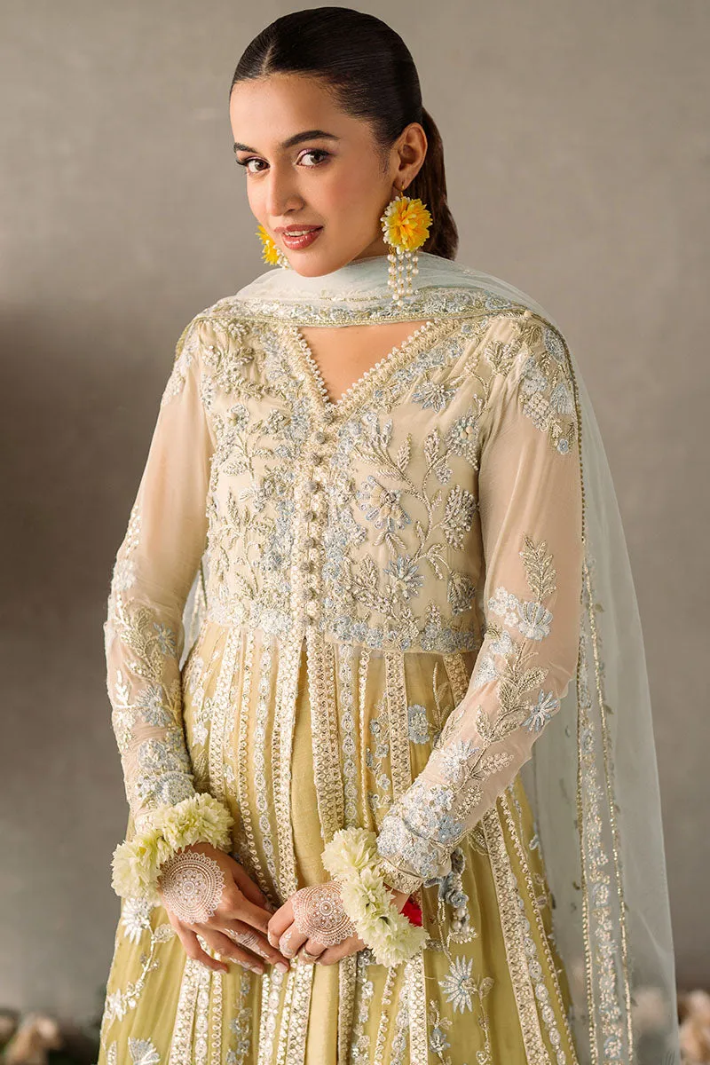 Hira | Mastani Evening Luxury Chiffon Collection | MUSHQ