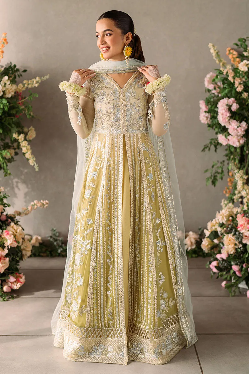 Hira | Mastani Evening Luxury Chiffon Collection | MUSHQ