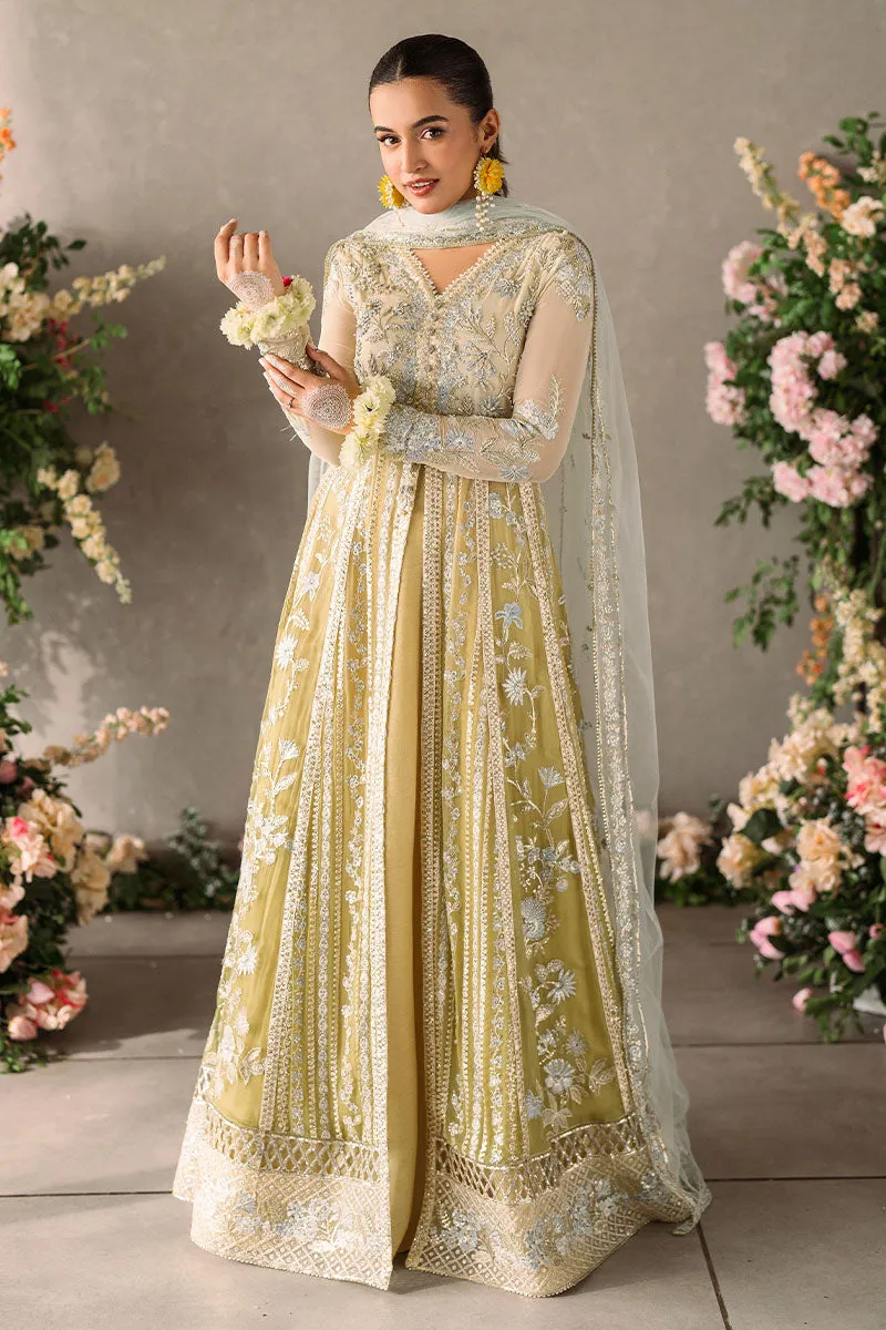 Hira | Mastani Evening Luxury Chiffon Collection | MUSHQ