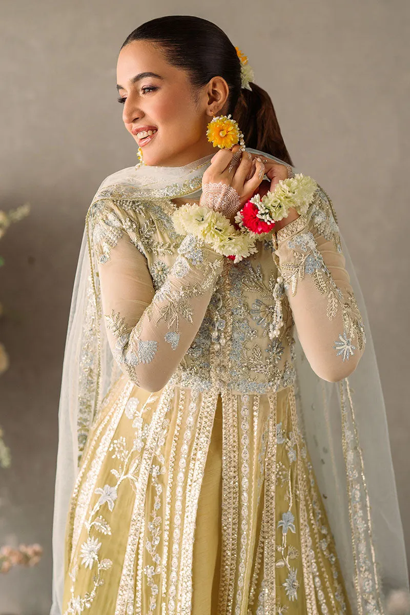 Hira | Mastani Evening Luxury Chiffon Collection | MUSHQ