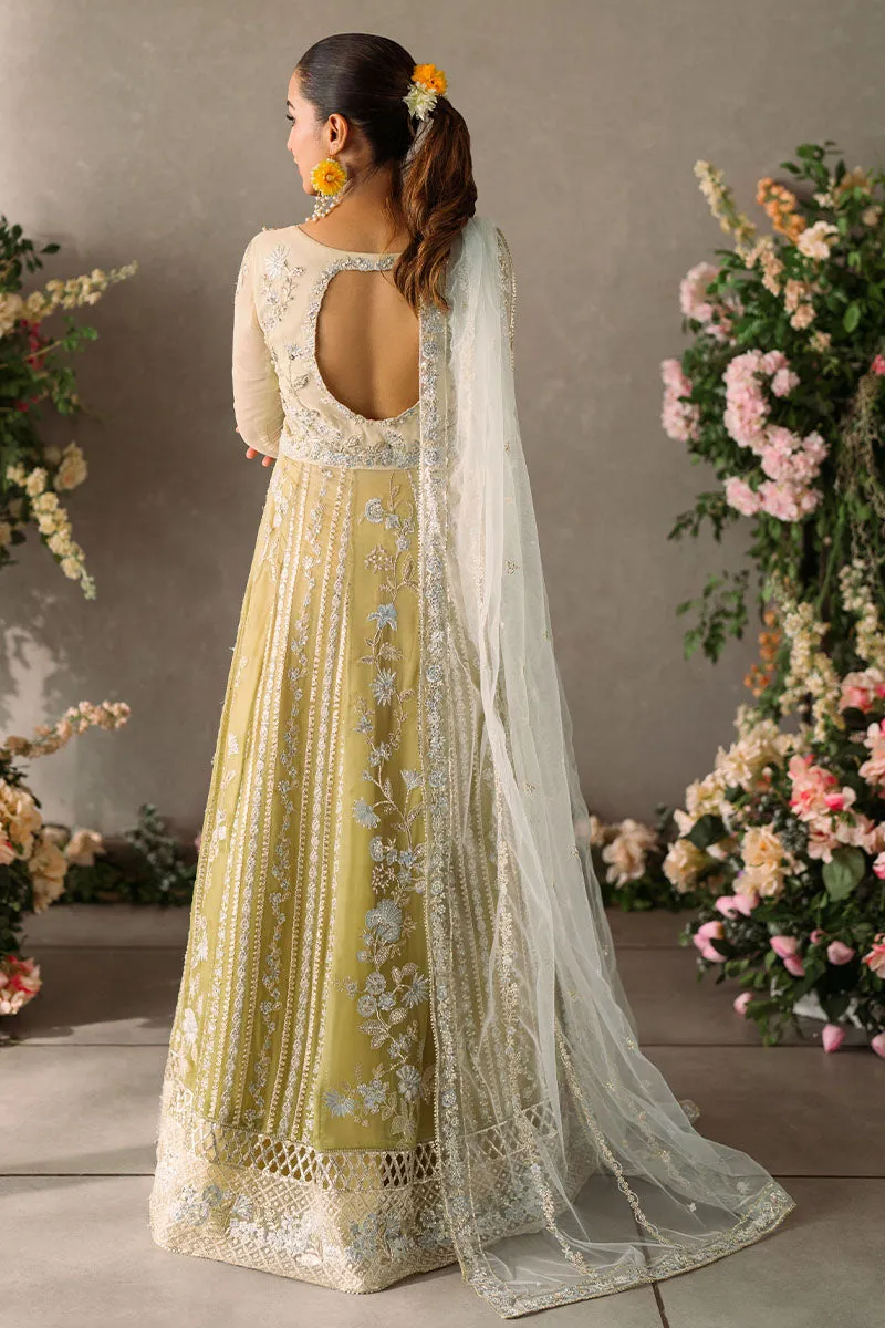 Hira | Mastani Evening Luxury Chiffon Collection | MUSHQ