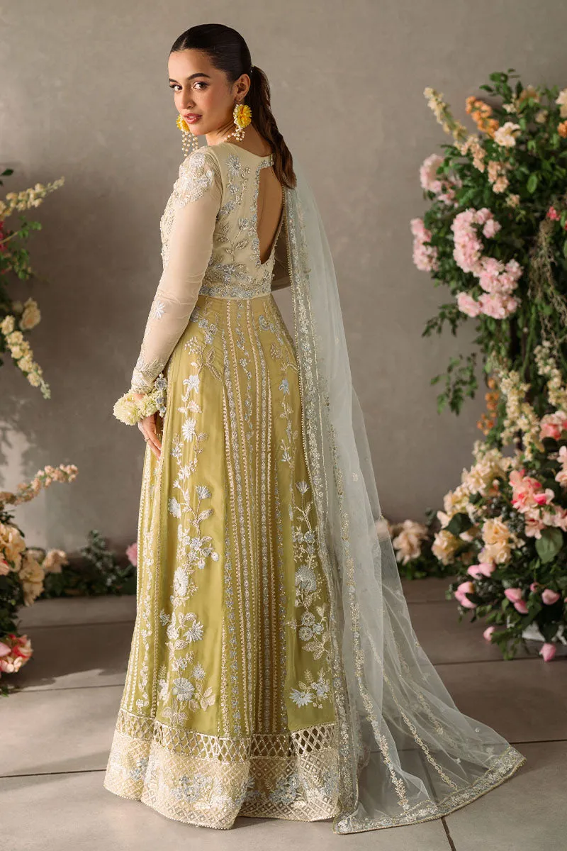 Hira | Mastani Evening Luxury Chiffon Collection | MUSHQ