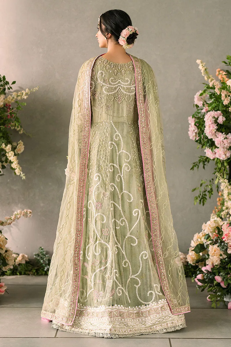 Namar | Mastani Evening Luxury Chiffon Collection | MUSHQ