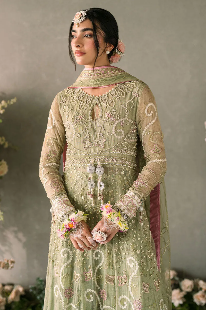 Namar | Mastani Evening Luxury Chiffon Collection | MUSHQ