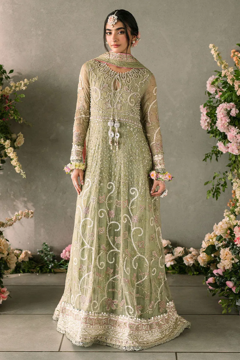 Namar | Mastani Evening Luxury Chiffon Collection | MUSHQ