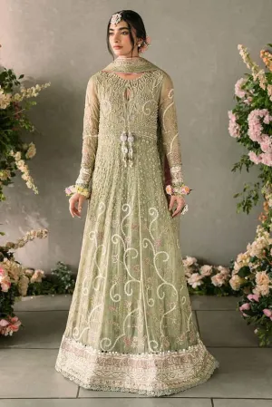 Namar | Mastani Evening Luxury Chiffon Collection | MUSHQ