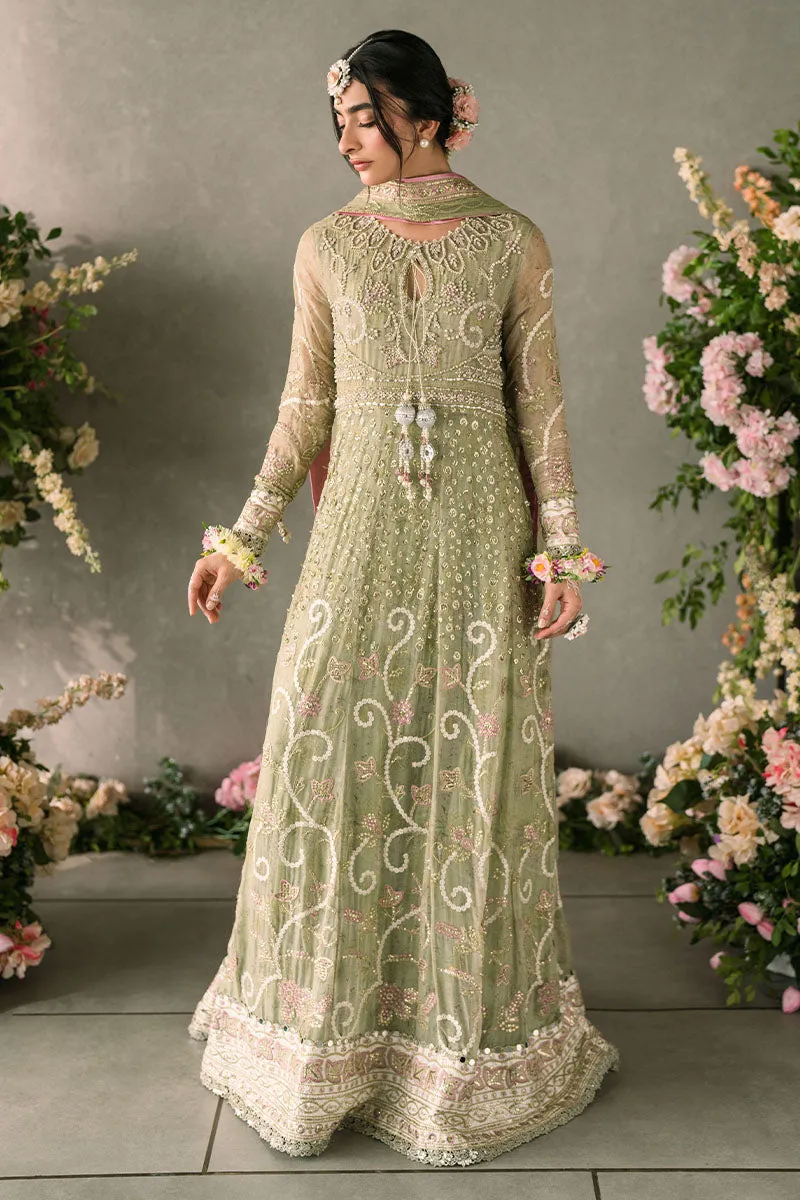 Namar | Mastani Evening Luxury Chiffon Collection | MUSHQ