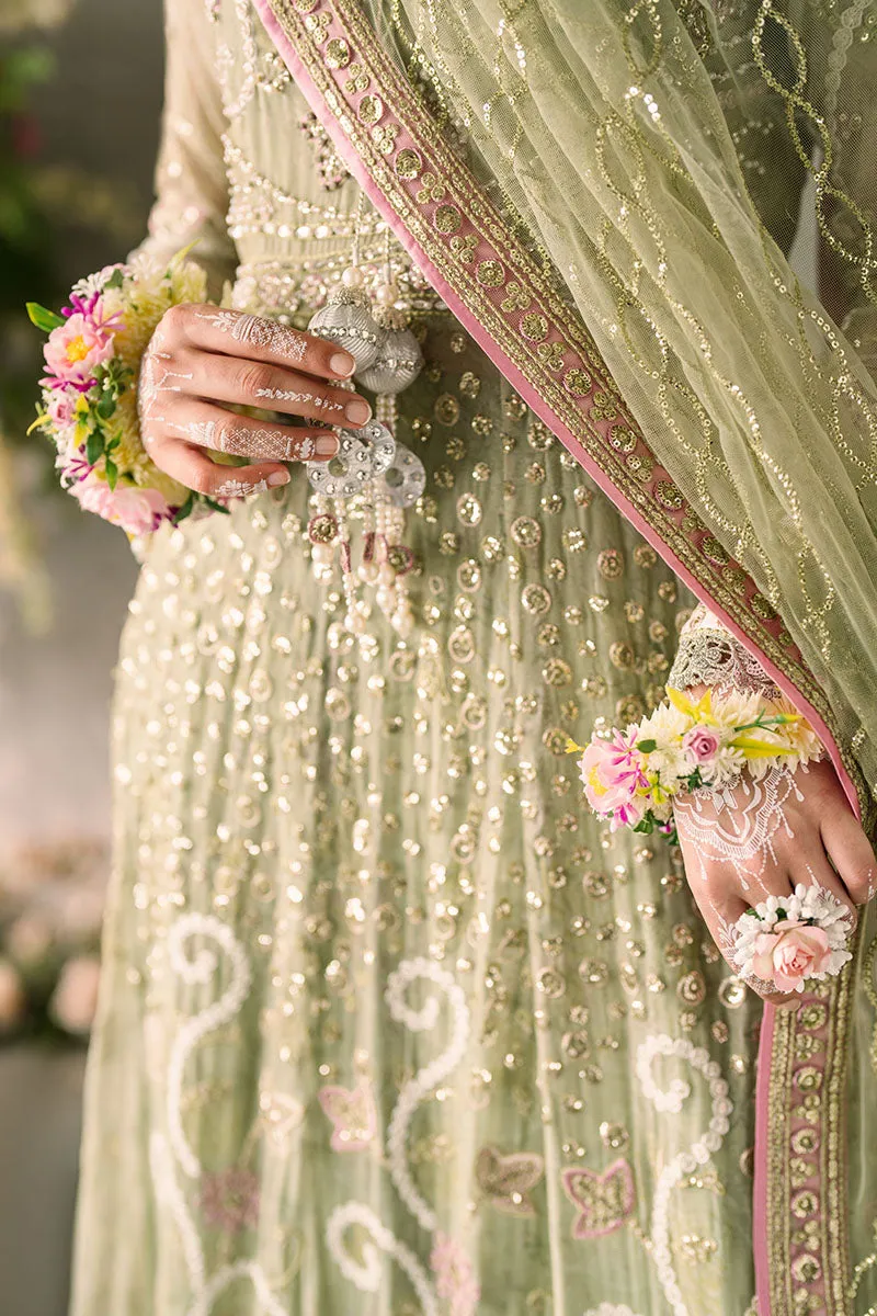 Namar | Mastani Evening Luxury Chiffon Collection | MUSHQ