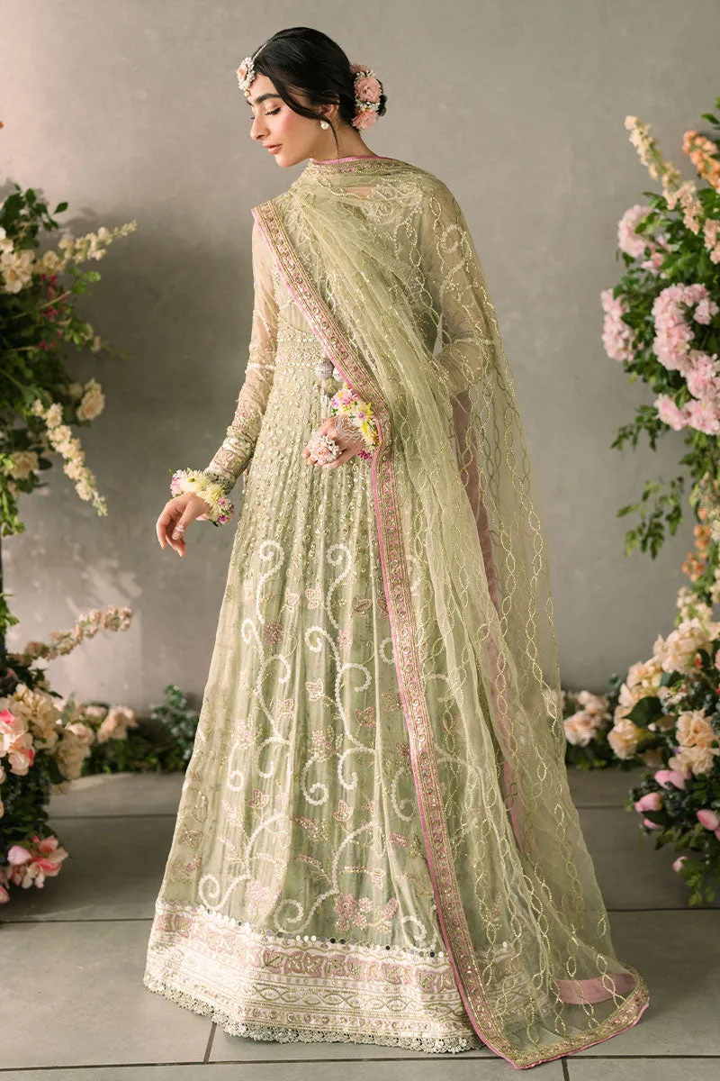Namar | Mastani Evening Luxury Chiffon Collection | MUSHQ