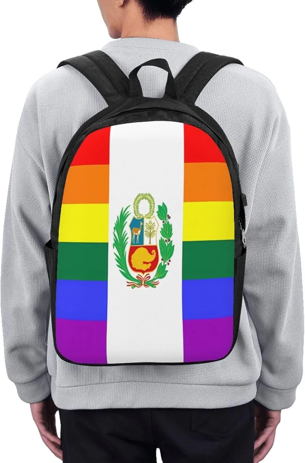 Peru Peruvian LGBT Rainbow Pride Flag Laptop Backpacks Travel Backpack Casual Business Daypack Sport Rucksack Computer Bag Fits up to 17 Inch Notebook with USB Port