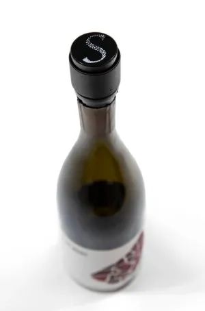 Sally Hillman PUSH Champagne Stopper