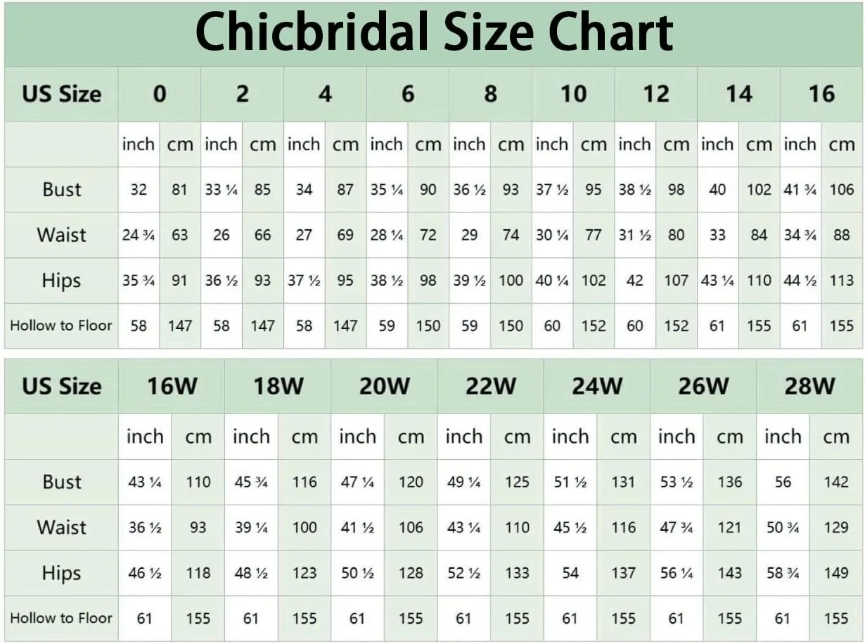 Women's Formal Dresses 2025 Chiffon Elegant Evening Dresses for Women One Shoulder A-Line Wedding Guest Dresses Long